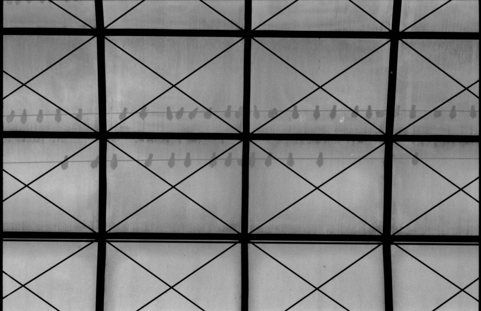 Analoge Schwarzweißfotografie von Meine Belichtungszeit