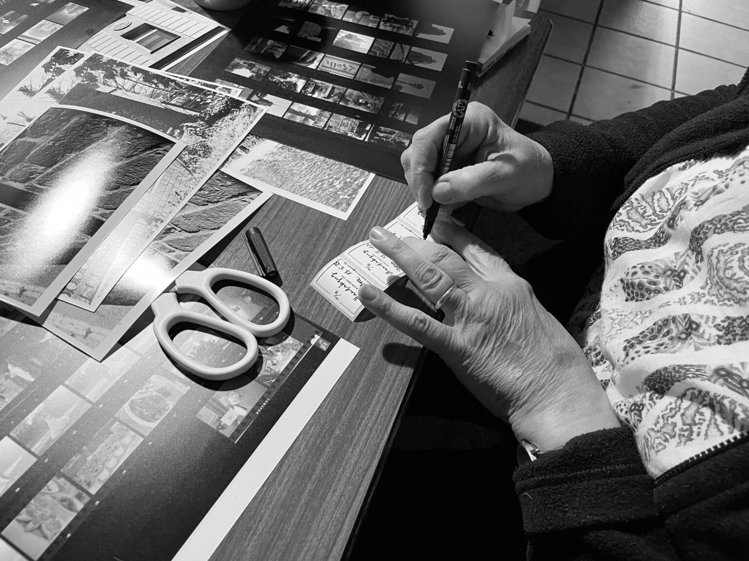 Negative, Kontaktbogen und fertige Papierabzüge