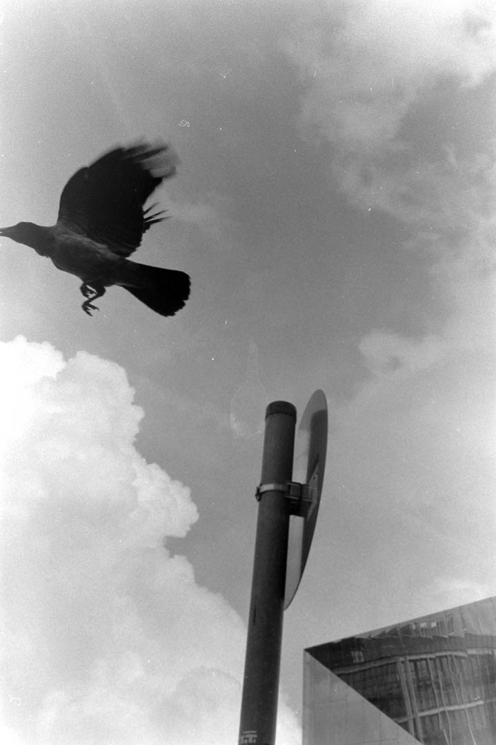 Analoge Schwarzweißfotografie von Meine Belichtungszeit